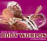 bodyworlds-roma-vonhagens