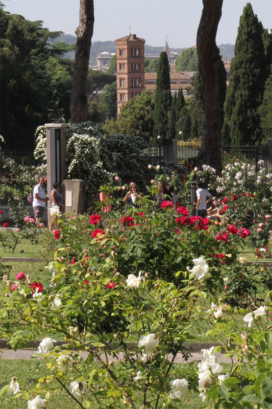 jardin-des-roses-rome4