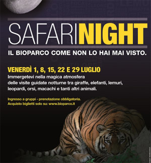 safari-night-zoo-rome-nocurne