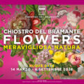 flowers-meravigliosa-natura