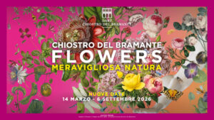 flowers-meravigliosa-natura