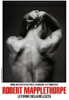 Robert Mapplethorpe. Le forme della bellezza